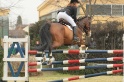 15 - MAZZARINO
